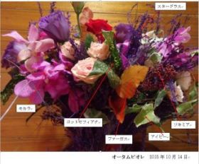 �I�[�^���r�I��