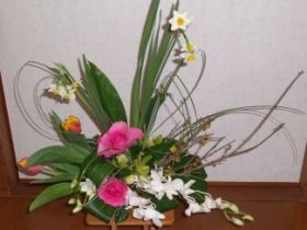 �j���[�C���[�A�����W�����g