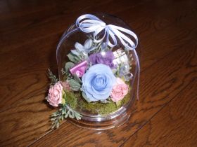 �N�����e�B�u���[