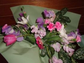 �i�`�������X�e���u�[�P