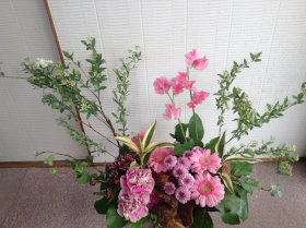 �s���N�u���[�~���O�K�[�f��