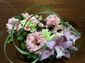 �O���C�X�t��