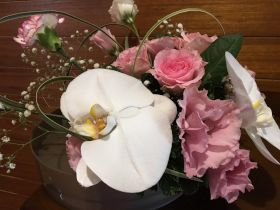 �t�H�[�}�����j�A�[��