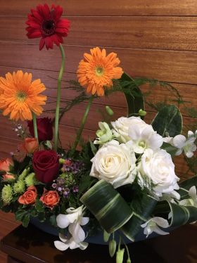 �t�H�[�}�����j�A�[��