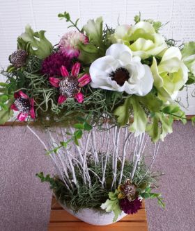 �G�R���W�[�t�����[