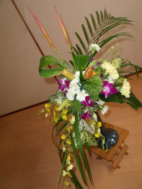 ���Y�~�b�N�p�b�V����