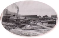 �u�c�Ă̗�������